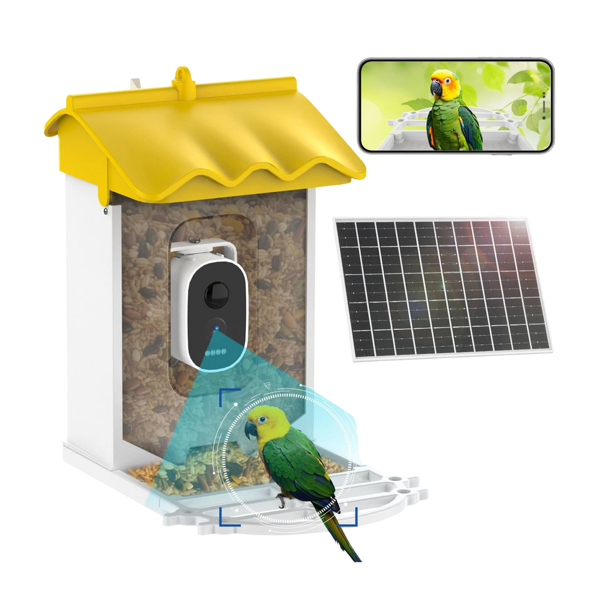 BirdieSaw 2