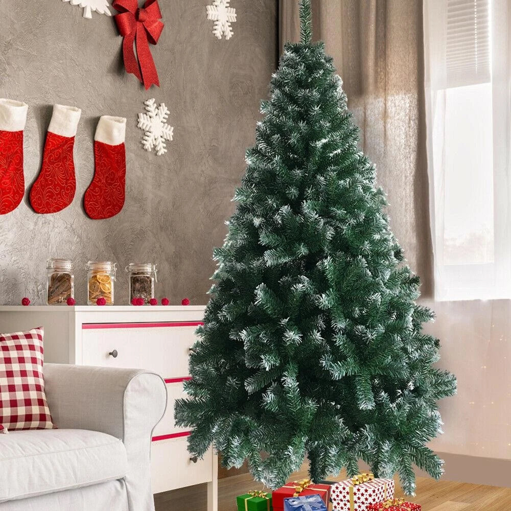 FestivPine 1