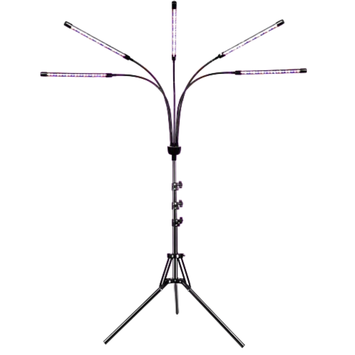 Soleepunk
