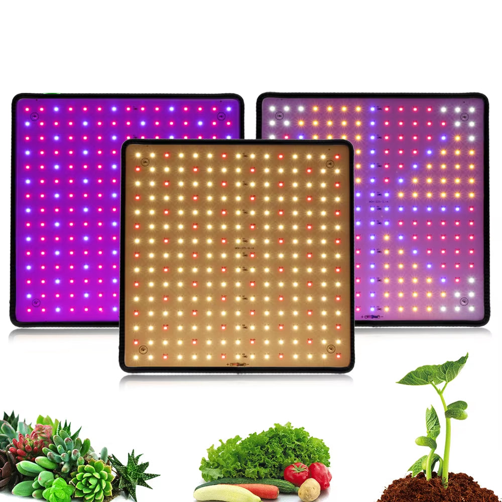 BlosomLite