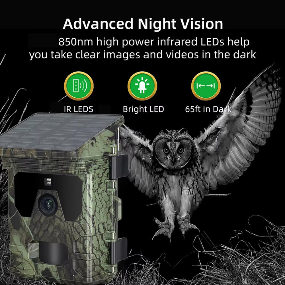 Wildsnap v2 - 8
