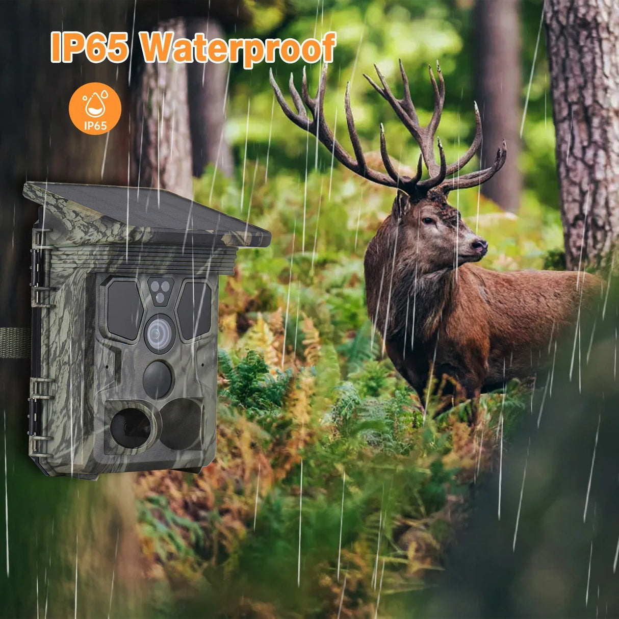 Wildsnap v3 - 1