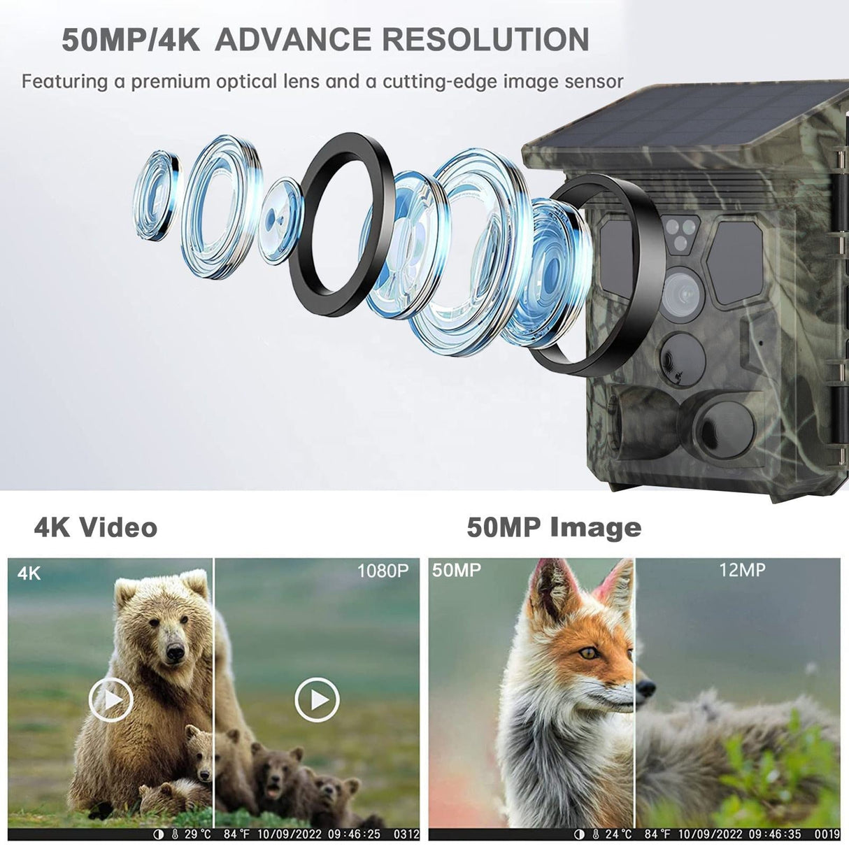 Wildsnap v3 - 1