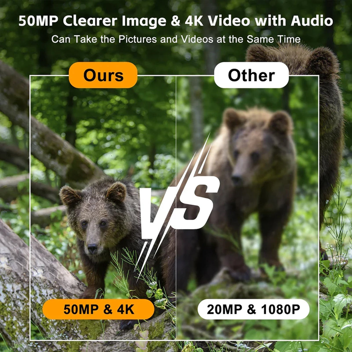 Wildsnap v3 - 1
