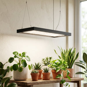 Grow Lights