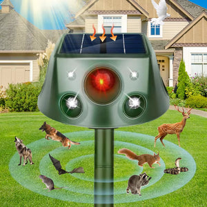 Rodent & Wildlife Control