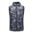 CryoFig