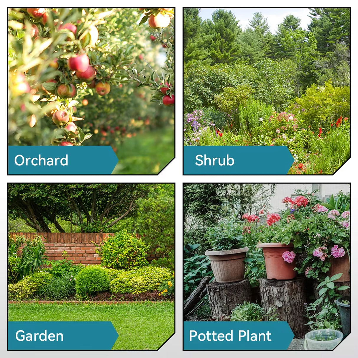 edge-prune-img-14.jpg__PID:0bd16a90-a852-417f-b891-384f174cf867