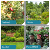 edge-prune-img-14.jpg__PID:0bd16a90-a852-417f-b891-384f174cf867