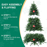 FestivPine 1