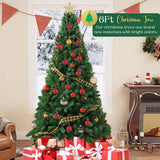FestivPine 1