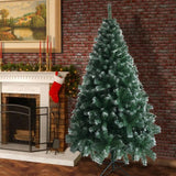 FestivPine 1