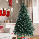 FestivPine 1