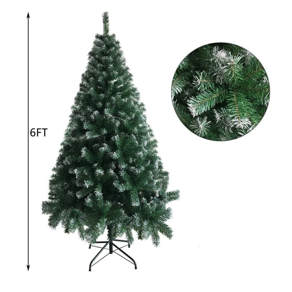 FestivPine 1