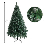 FestivPine 1