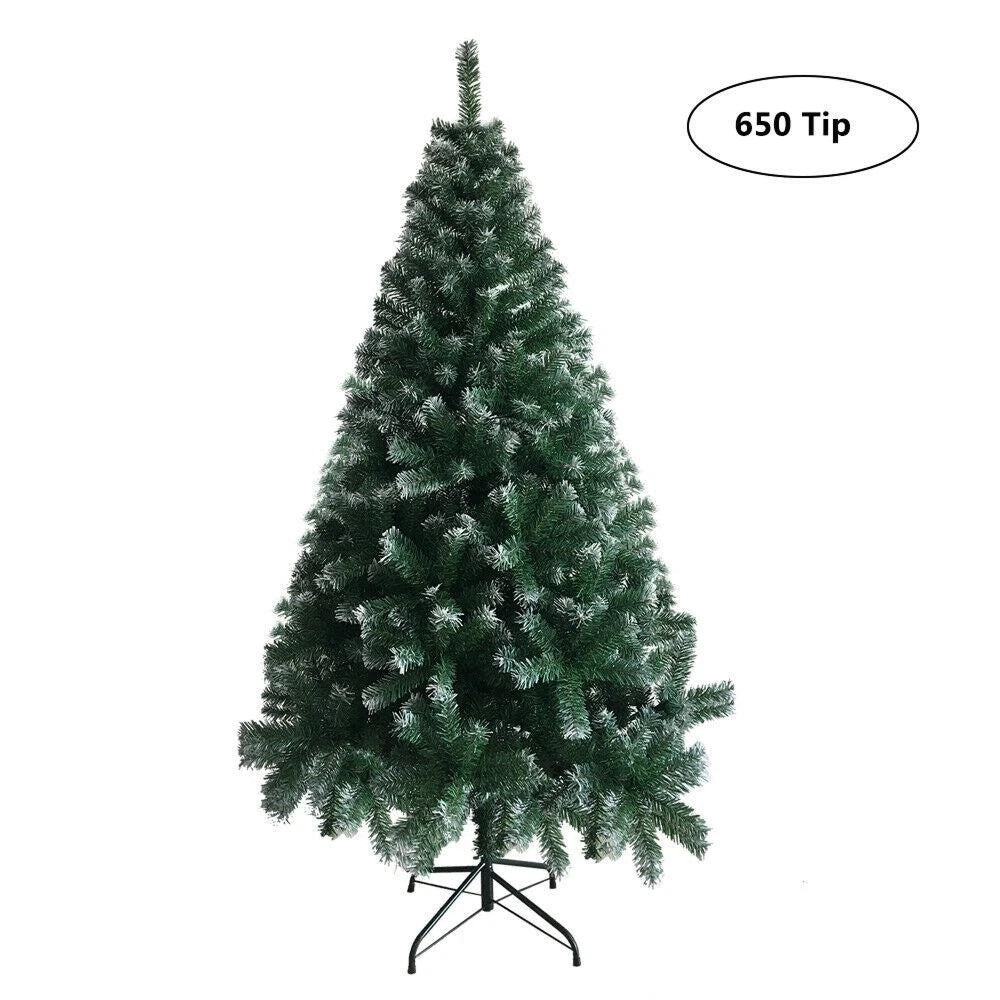 FestivPine 1