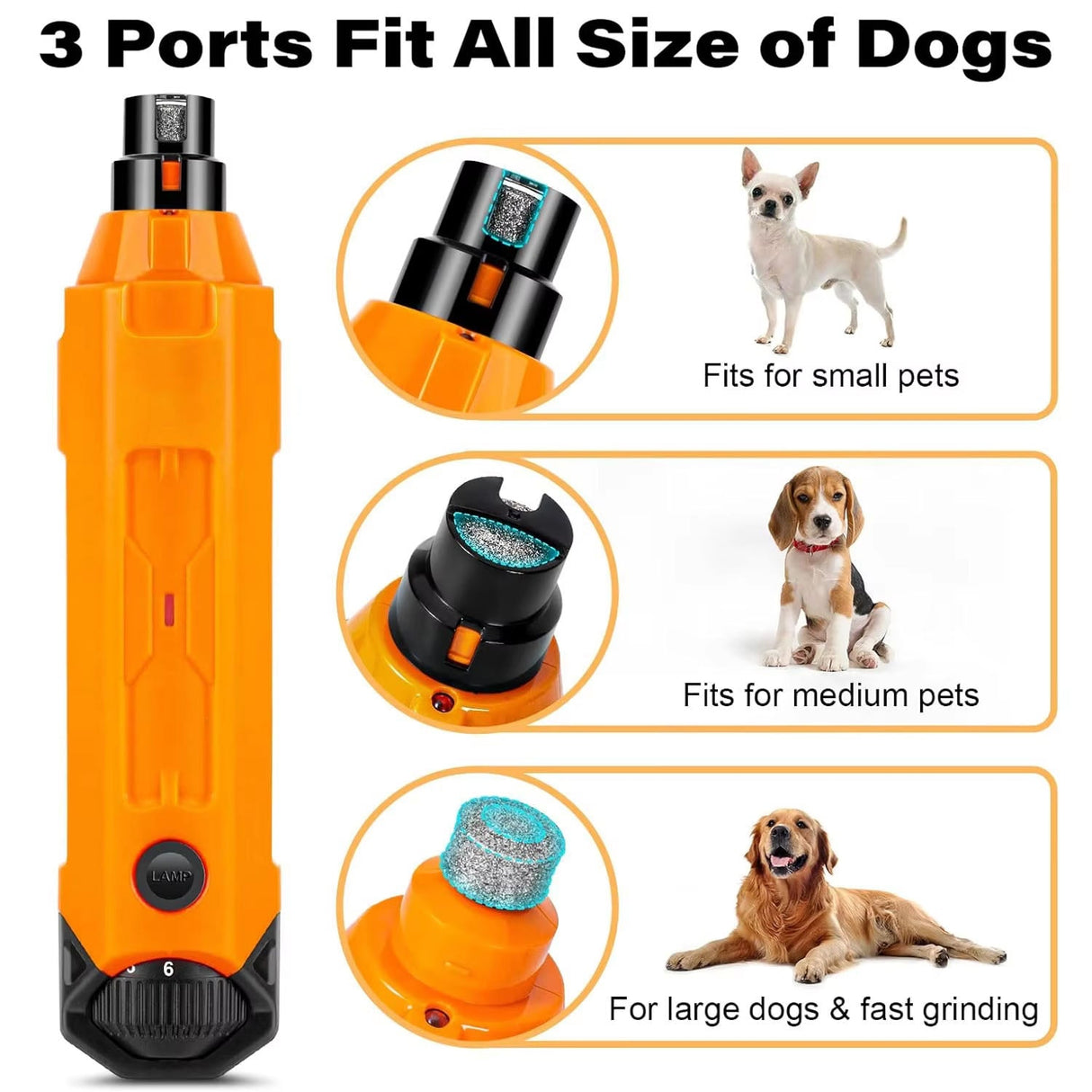 GrinPaw 2