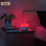 Lampterny 2