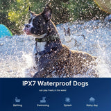 LocatyPup
