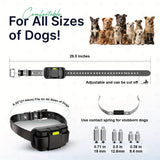 LocatyPup