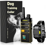 LocatyPup