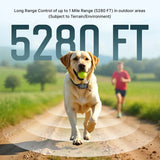 LocatyPup