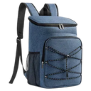 Packistal
