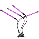 Soleepunk