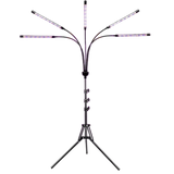 Soleepunk
