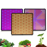BlosomLite