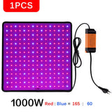 BlosomLite