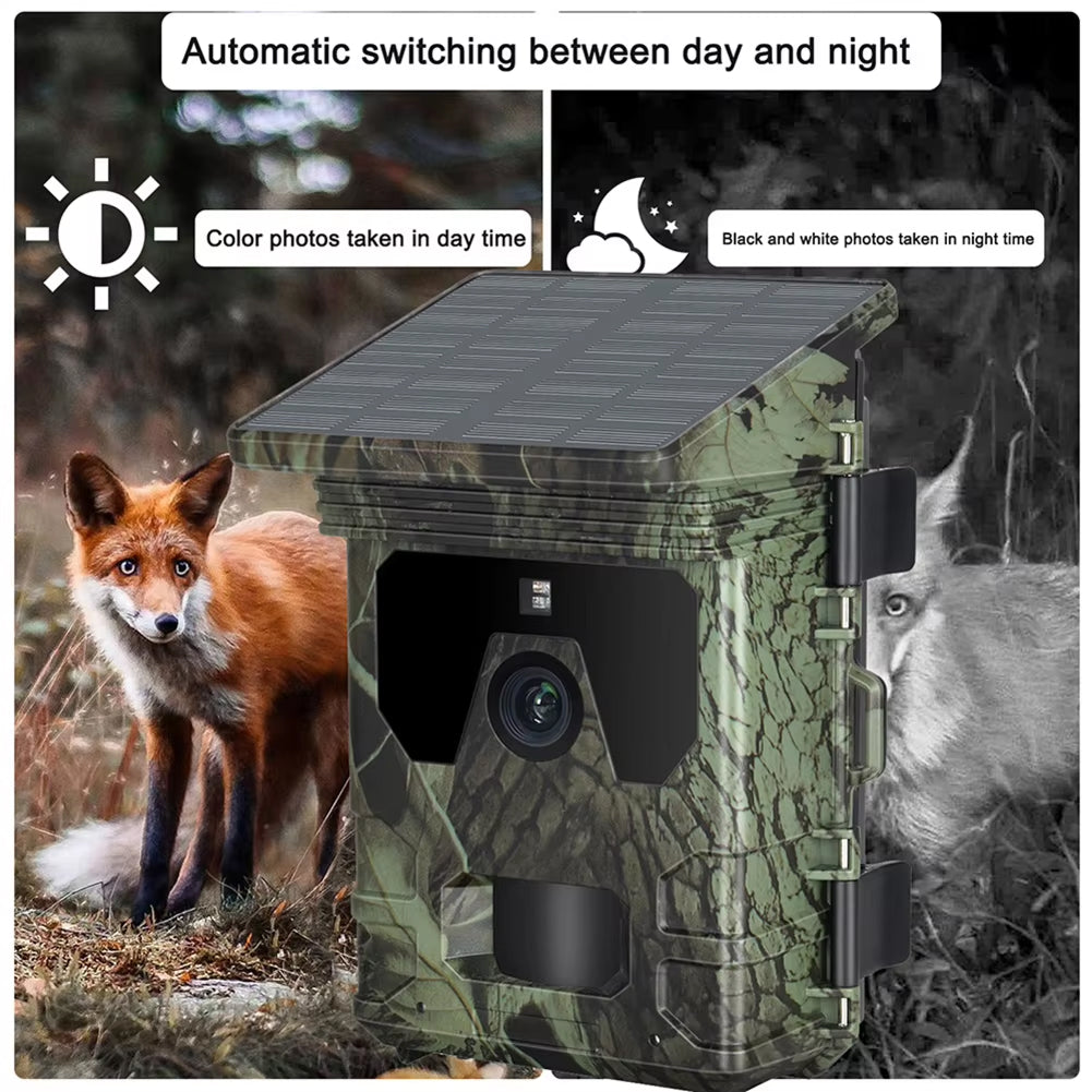Wildsnap v2 - 6