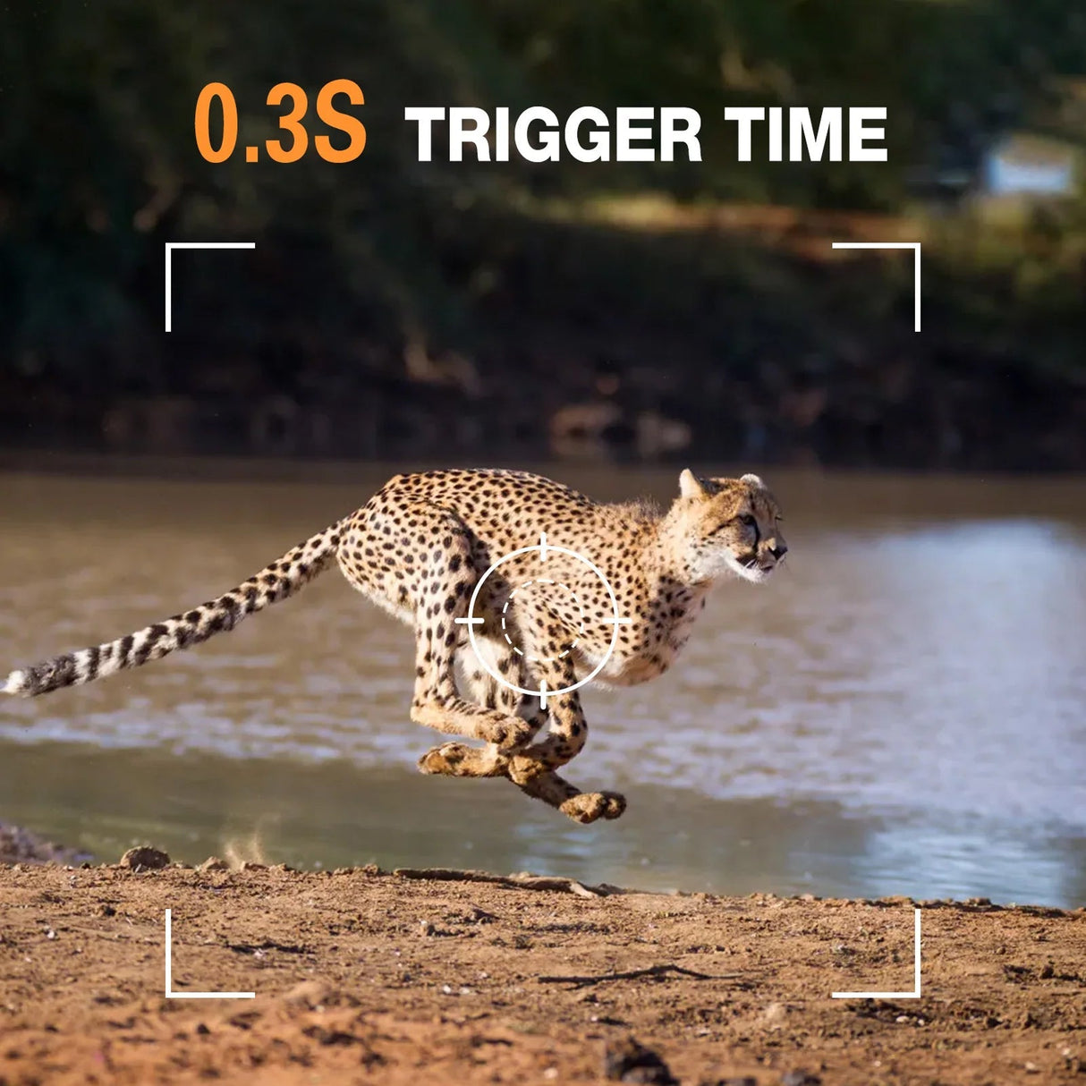 Wildsnap v3