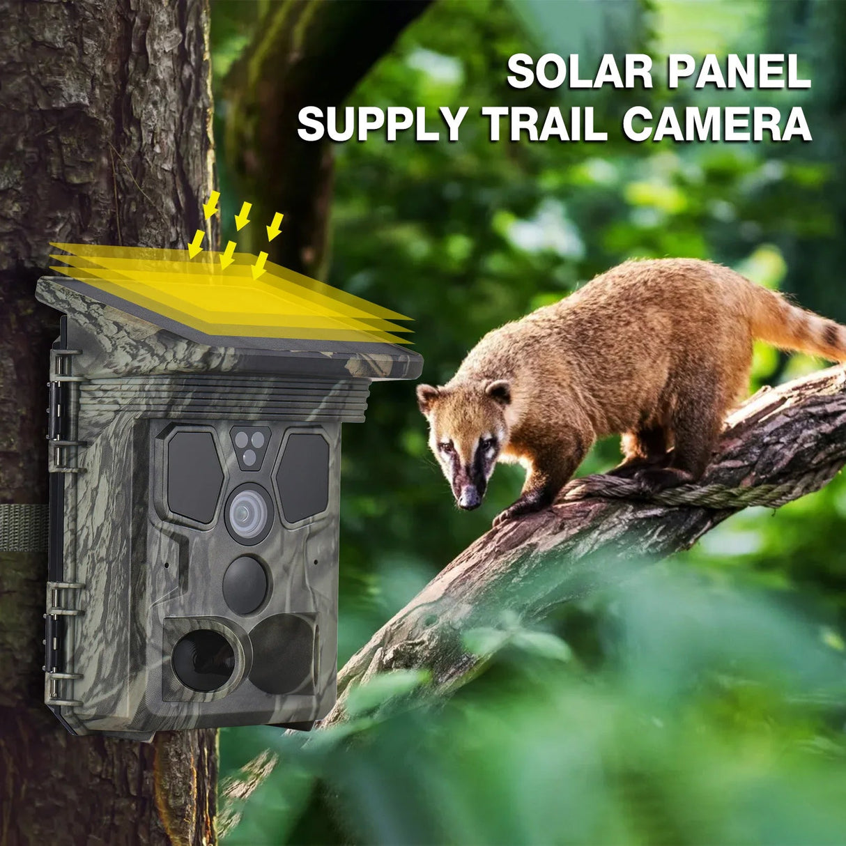 Wildsnap v3 - 1