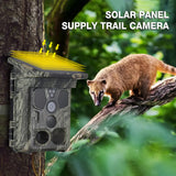 Wildsnap v3 - 1