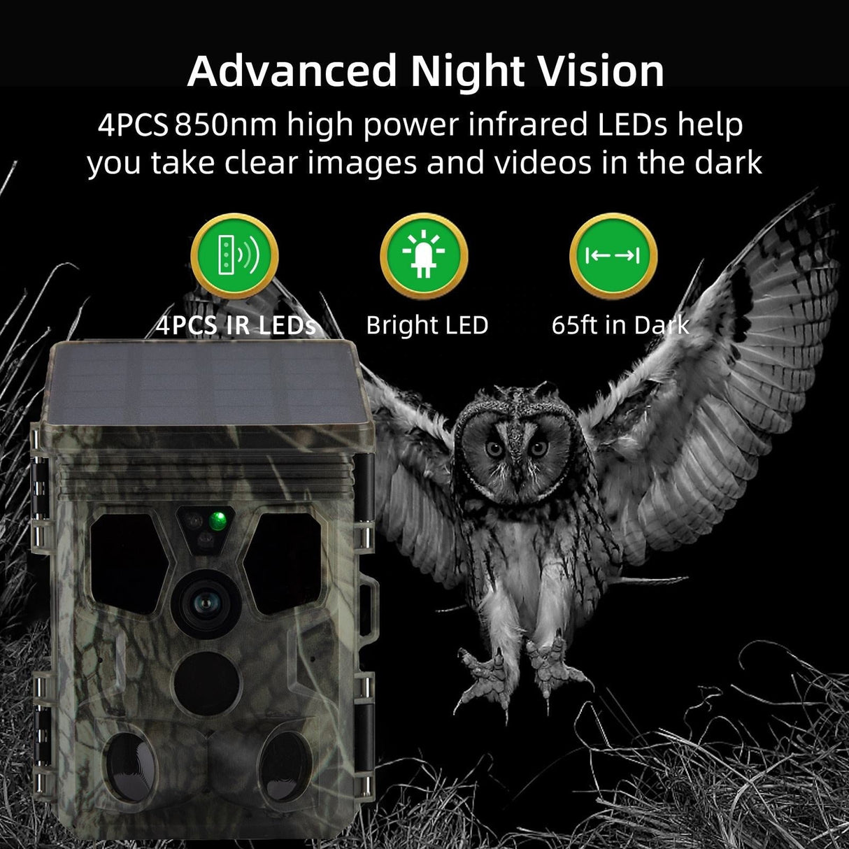 Wildsnap v3
